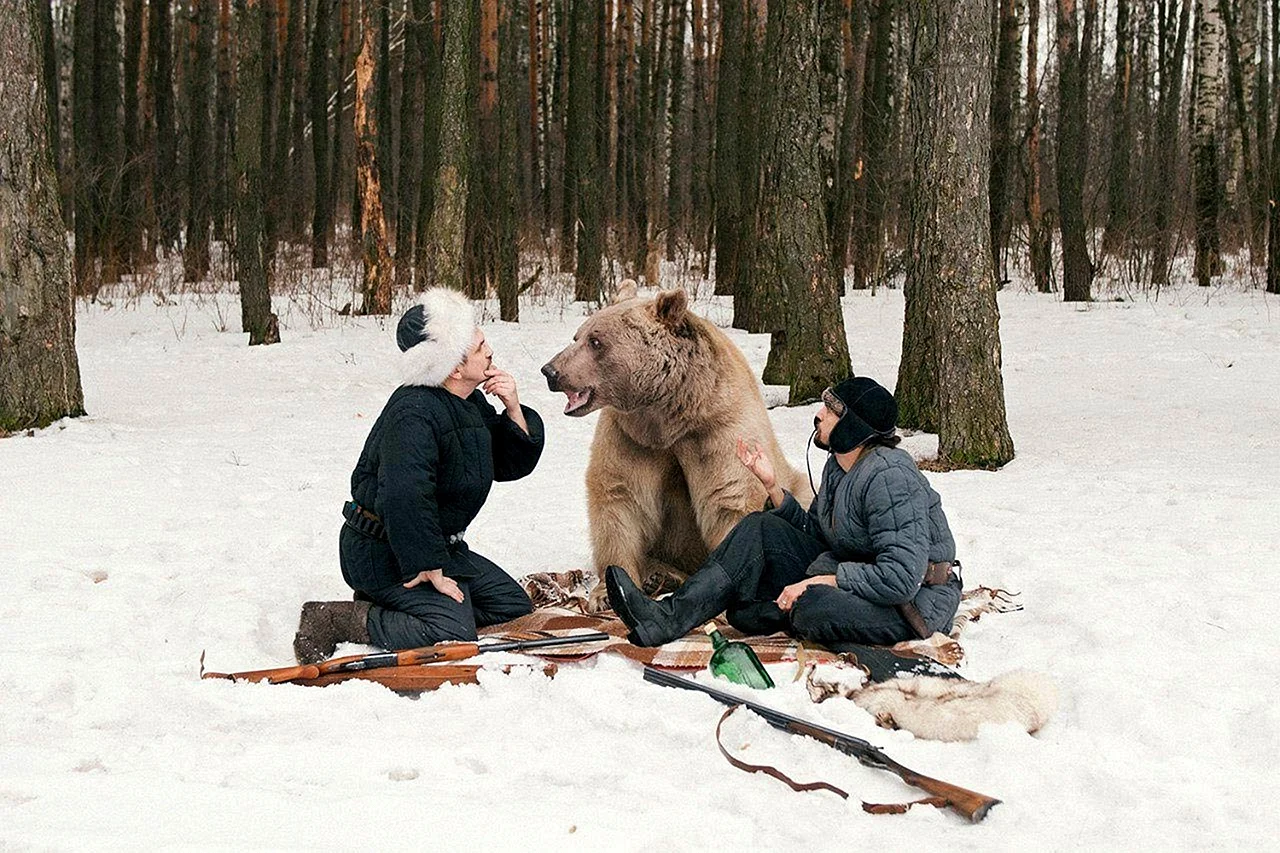 Медведь и человек в лесу