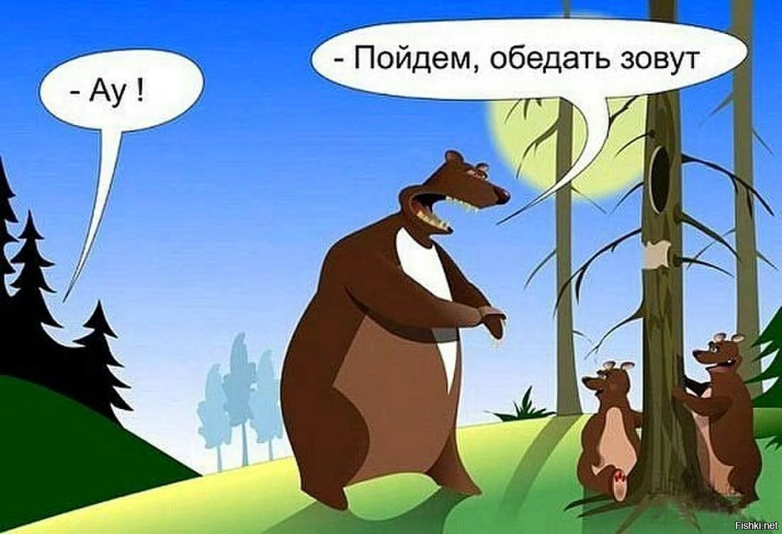 Медведь юмор