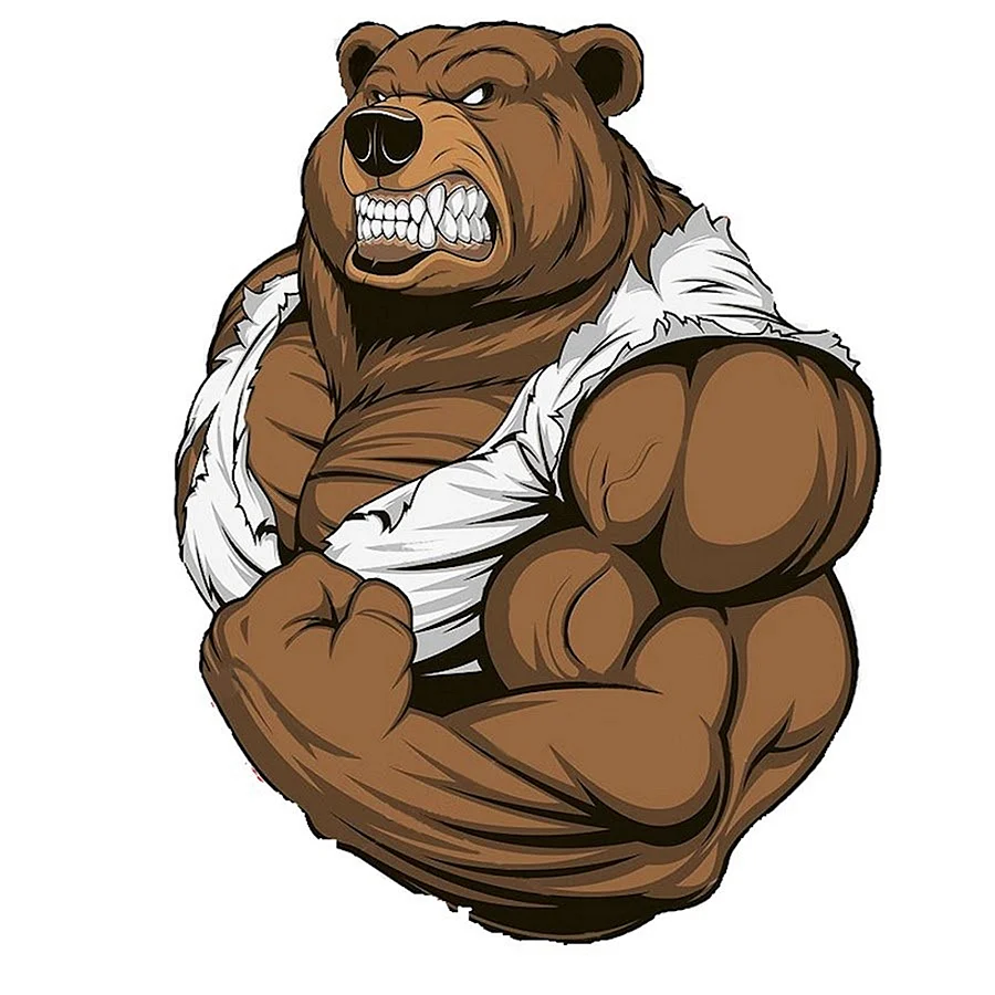 Медведь на бицухе