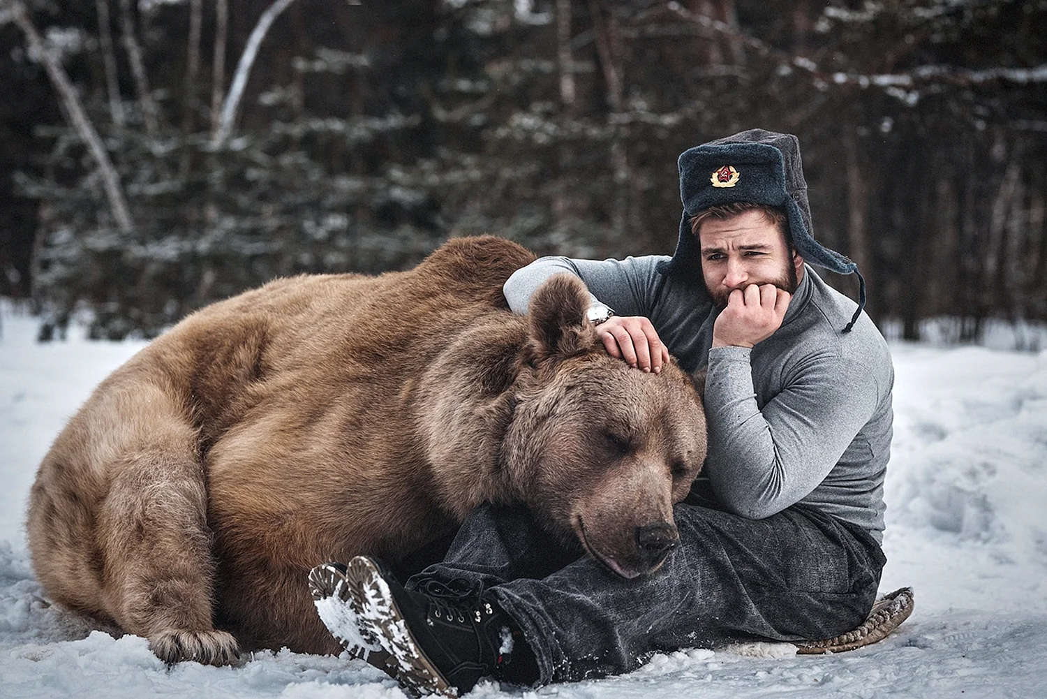 Медведь Степан Шапша