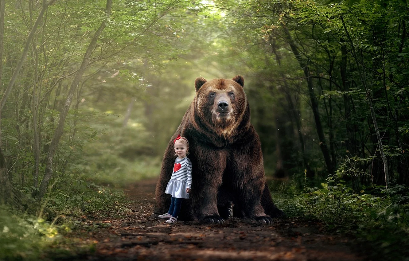 Медведь в лесу