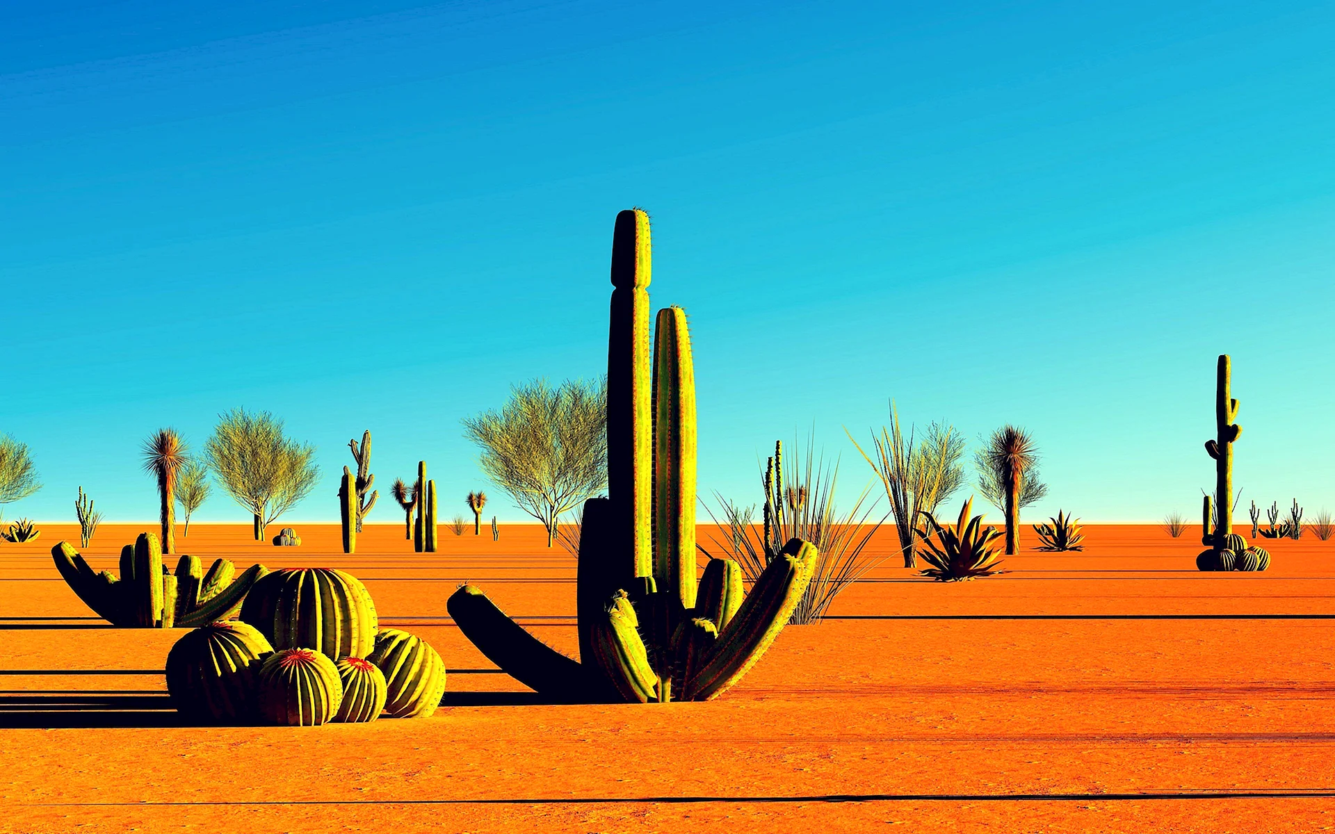 Мексика пустыня кактусы