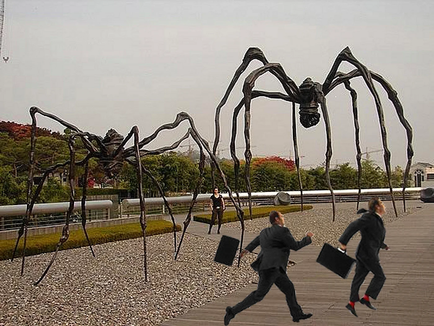 Метровый паук