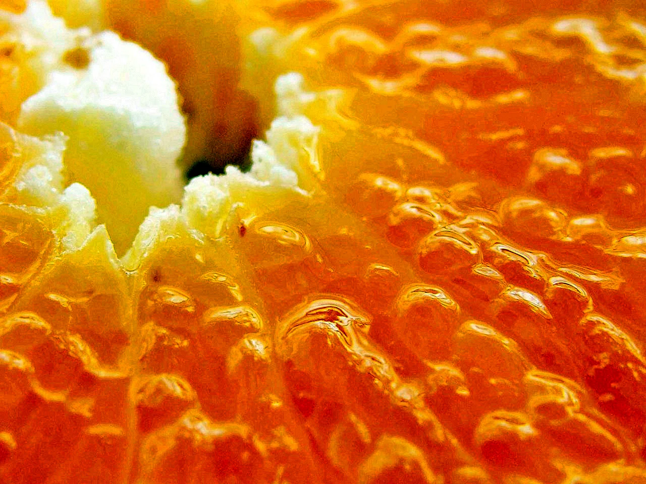 Мякоть апельсина