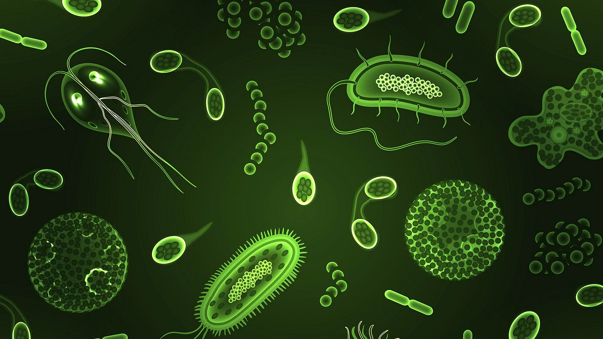 Микроорганизмы бактерии вирусы фон