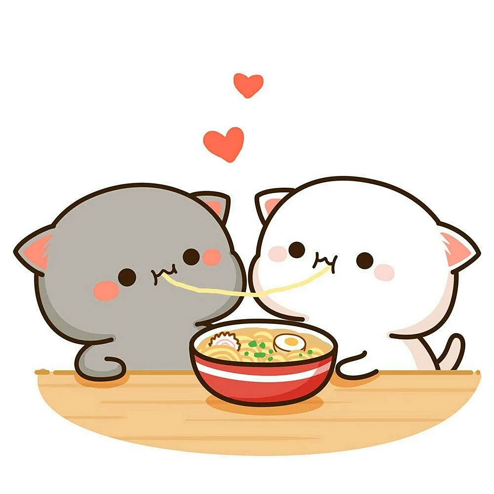 Милые котики с едой