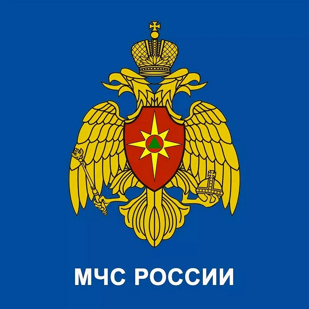 Министерство чрезвычайных ситуаций России (МЧС РФ)