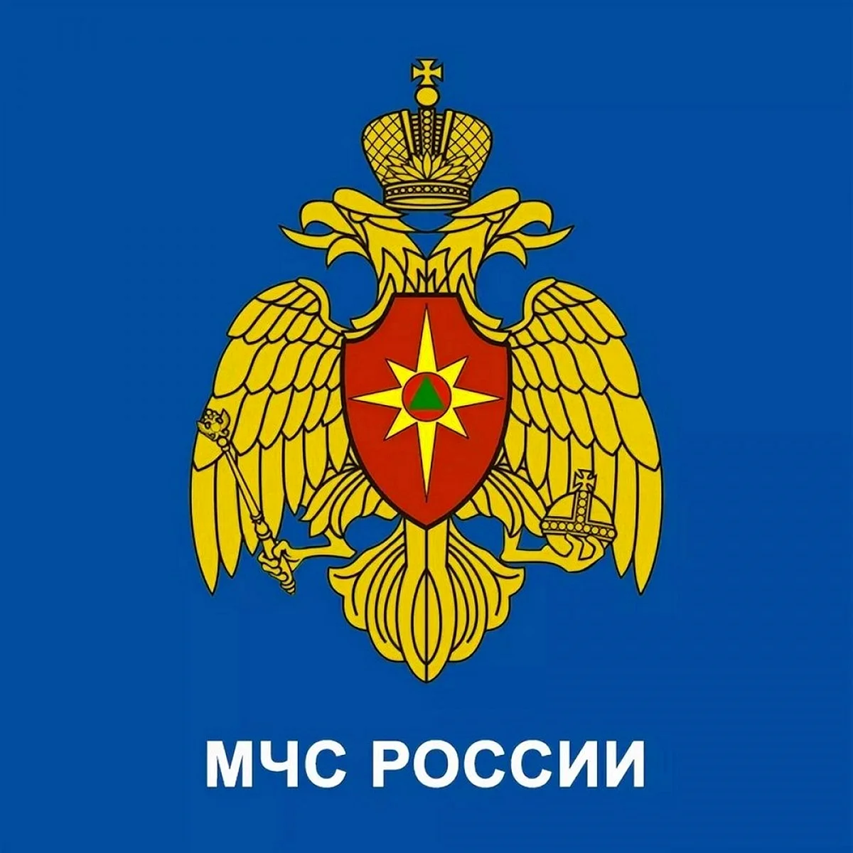 Министерство чрезвычайных ситуаций России (МЧС РФ)