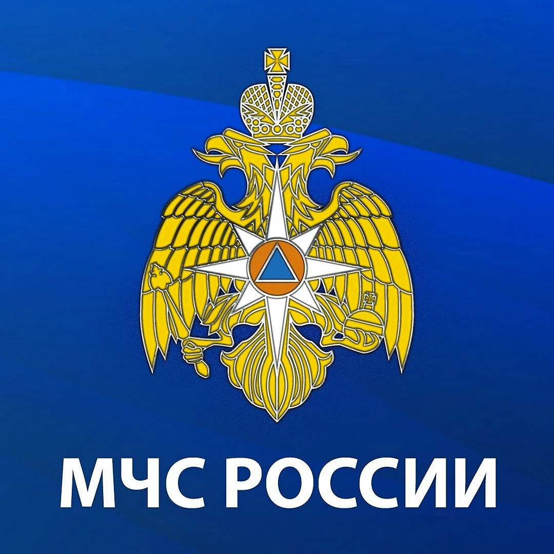 Министерство по чрезвычайным ситуациям МЧС России