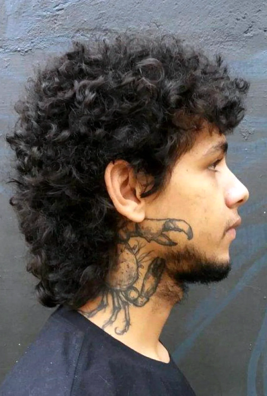 Mohawk Mullet curly