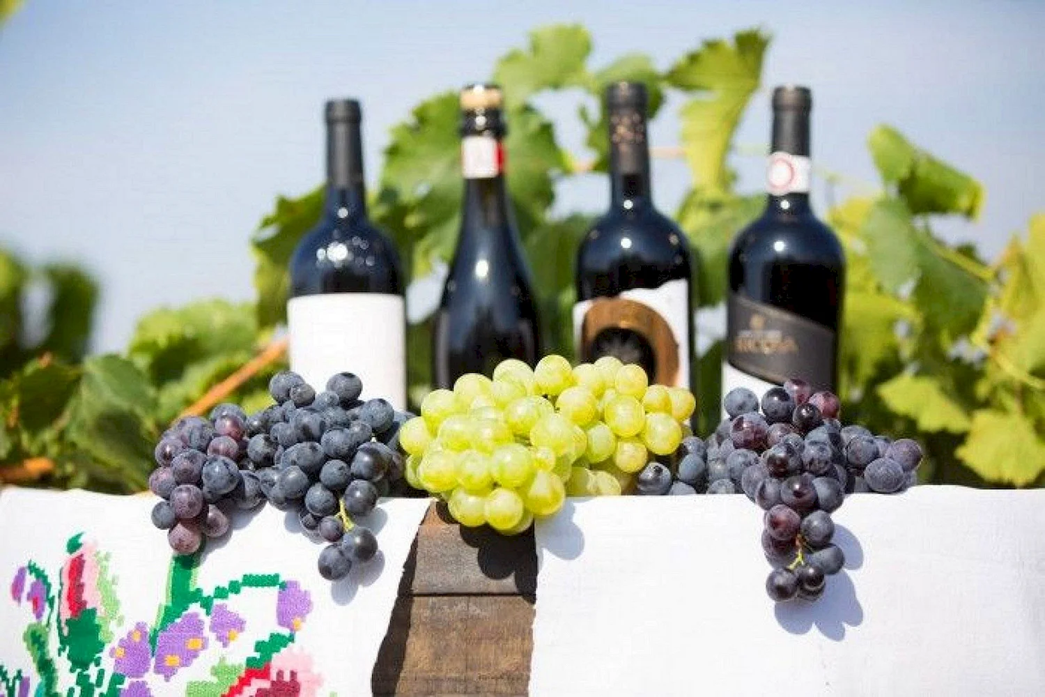 Молдавия виноградники и вино