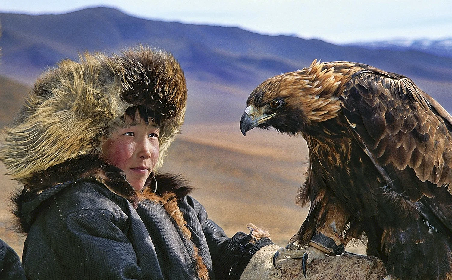 Монгольский Орлан