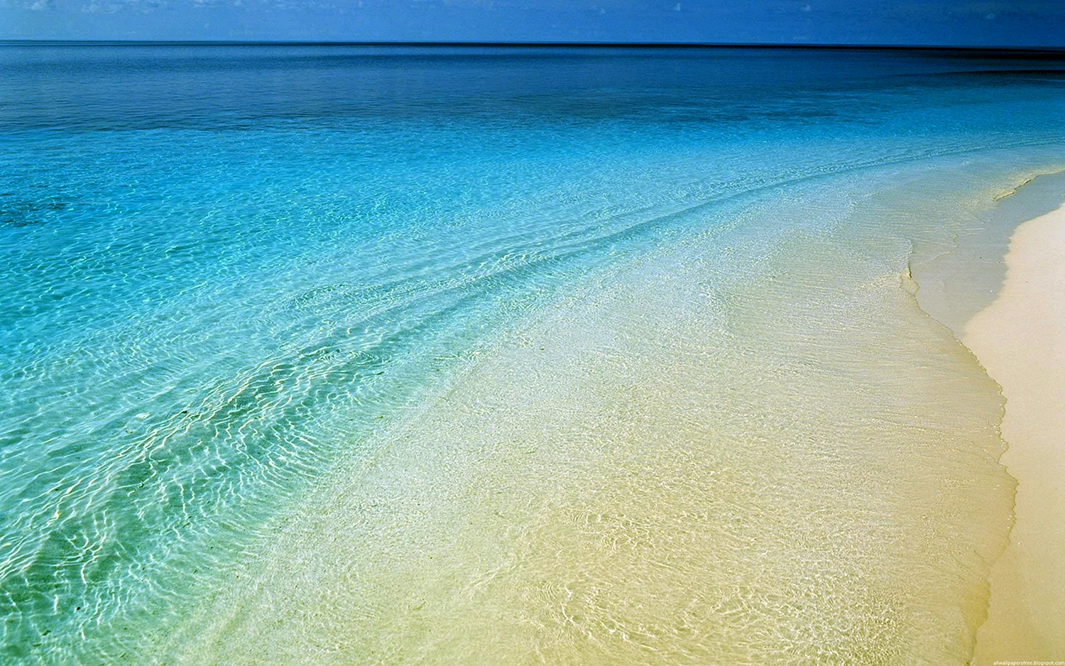 Море