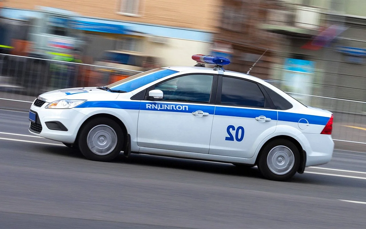 Москва полиция машина Горозия