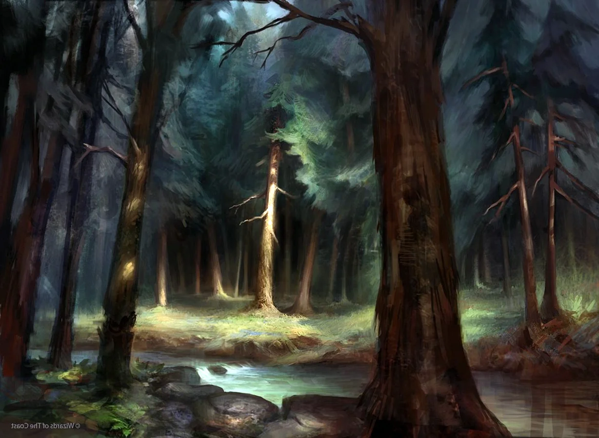 MTG Art лес