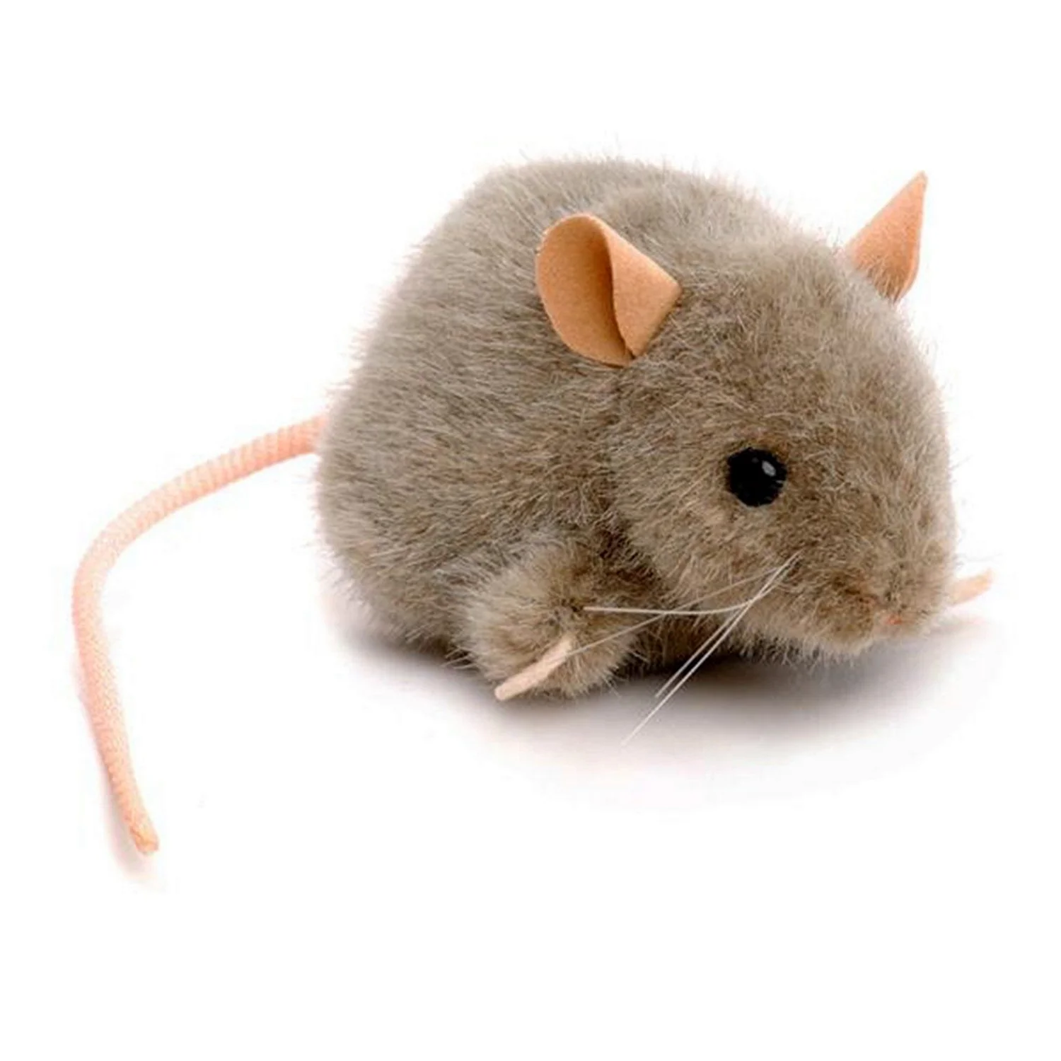 Мышка серая