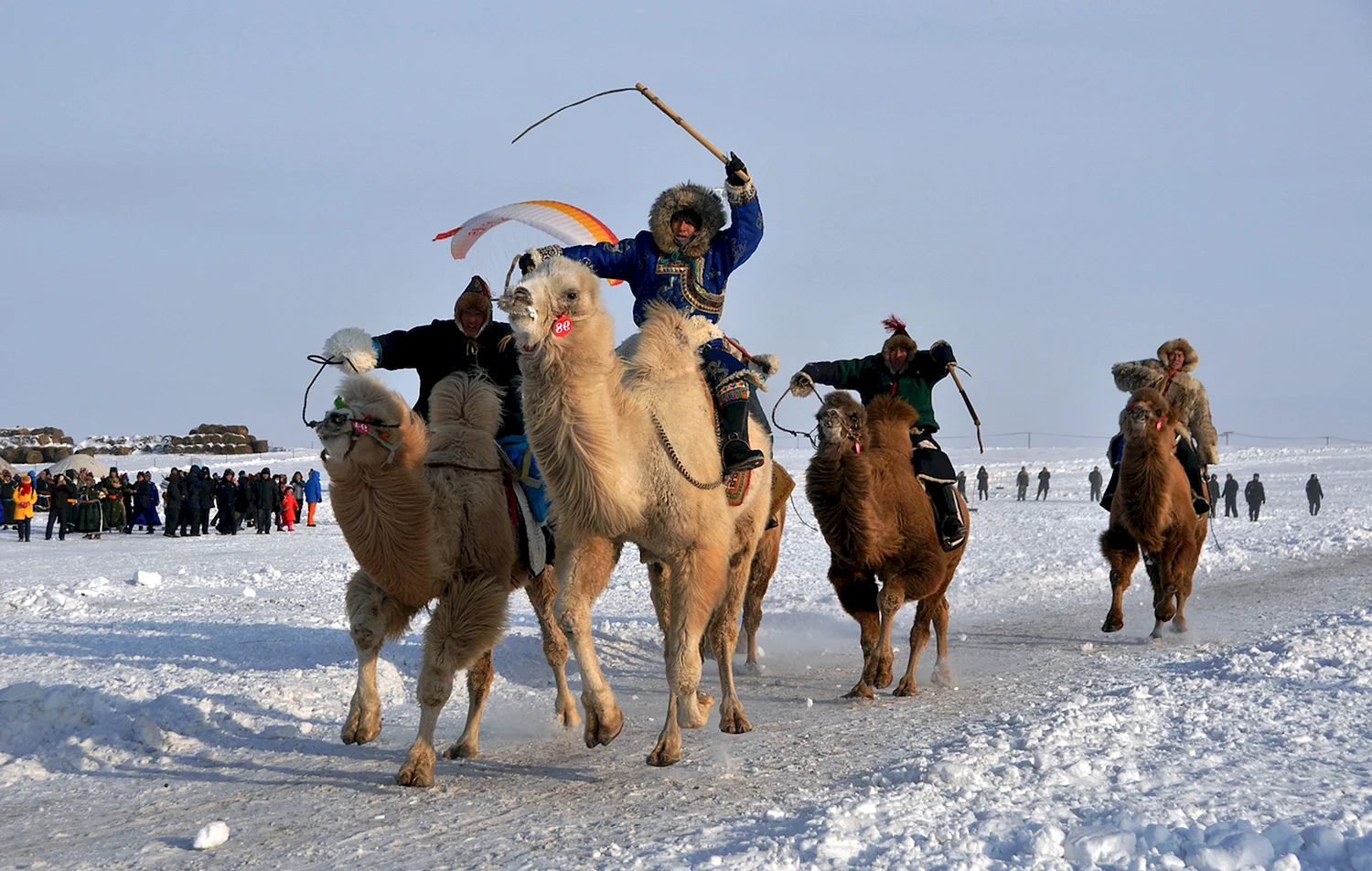 Наадам Монголия зимний
