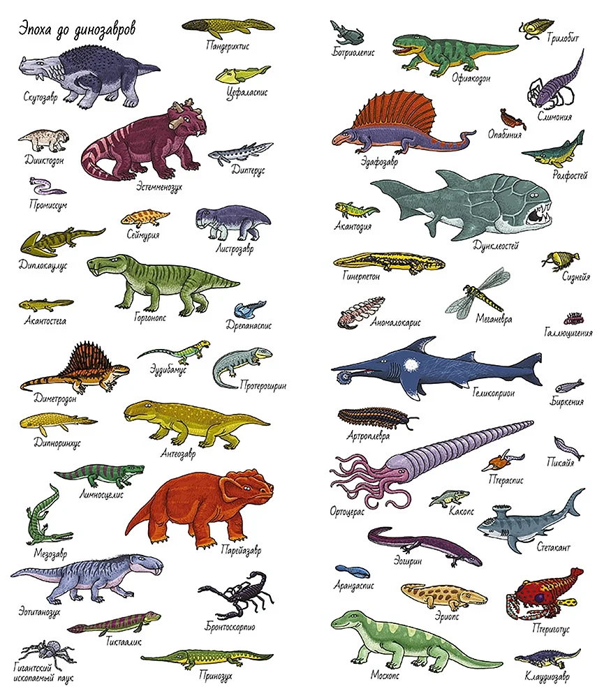 Найди и покажи динозавры Клевер