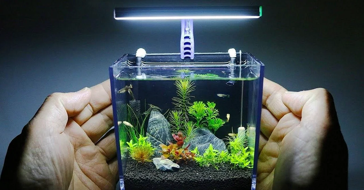 Нано аквариум в Xiaomi