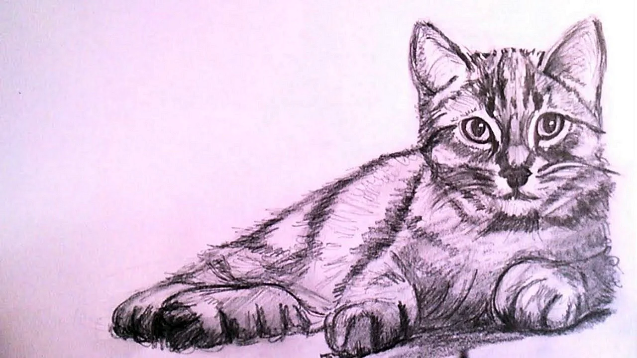 Нарисовать кота карандашом