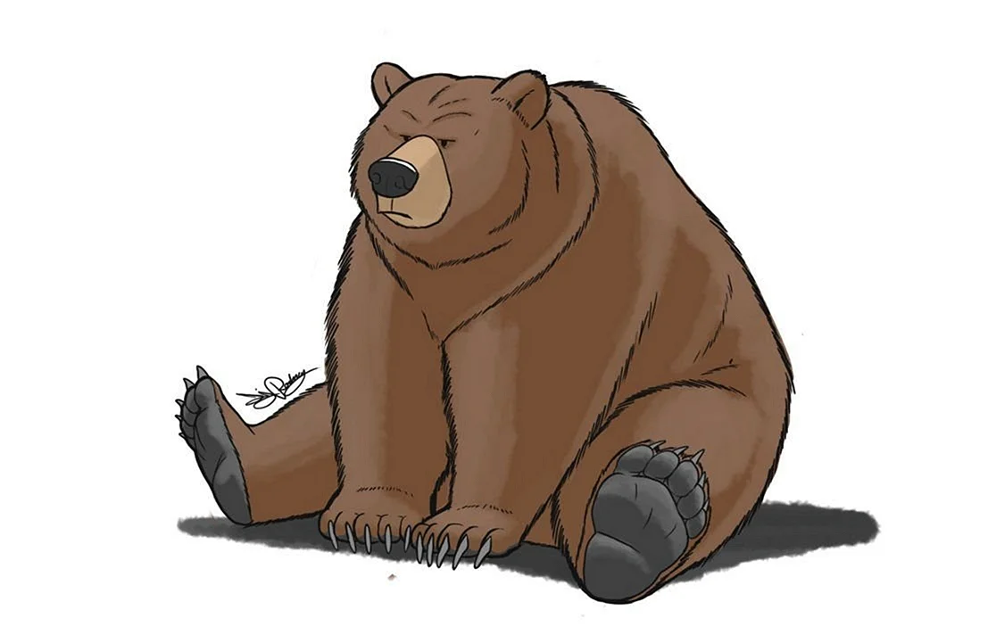 Нарисовать медведя