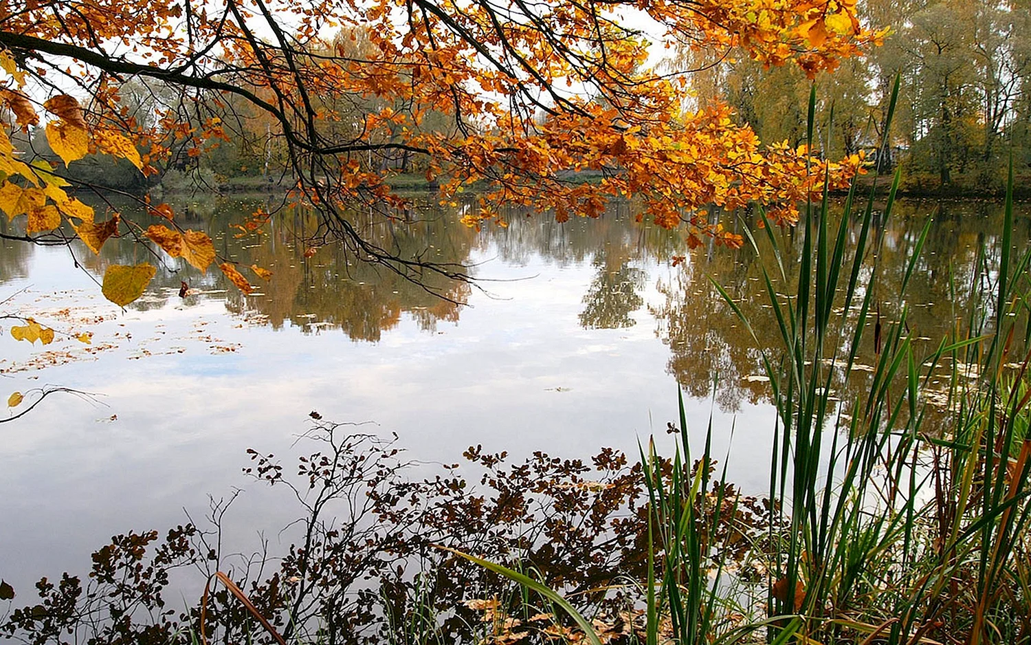 Нарышкинский пруд осенью