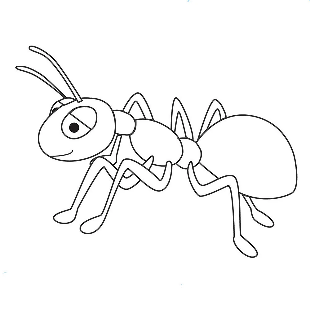 Насекомый муравей раскраска