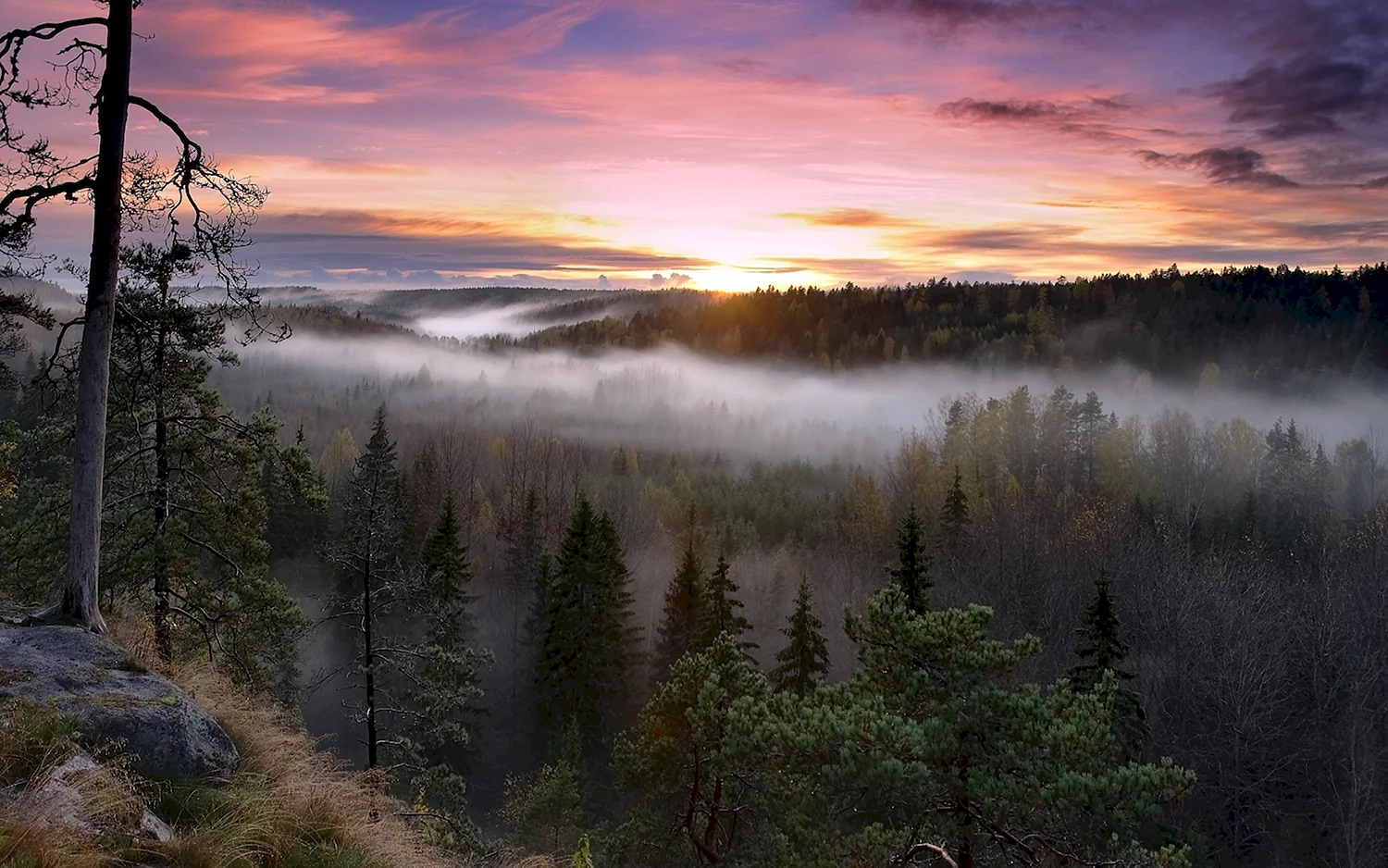Национальный парк Нууксио Финляндия