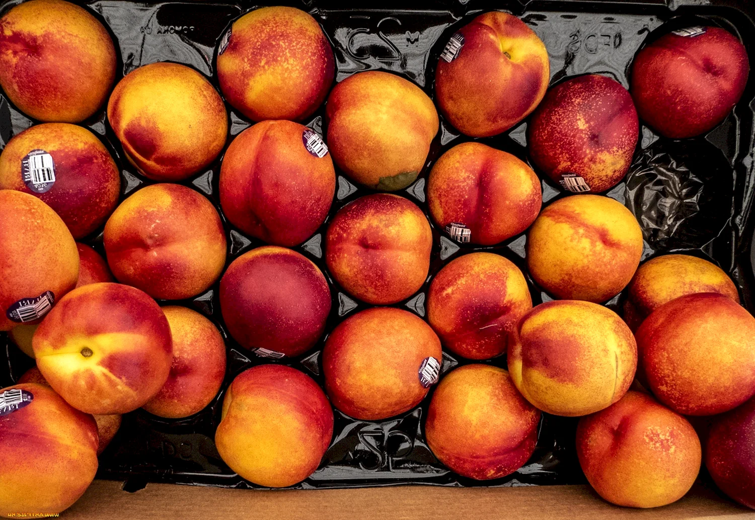 Нектарины абрикосы персики сливы