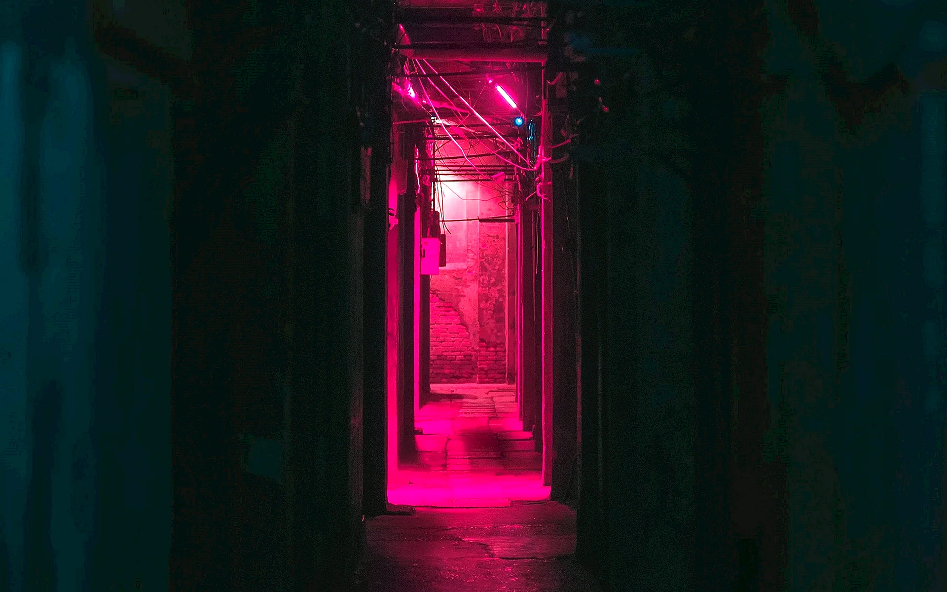 Неоновый коридор