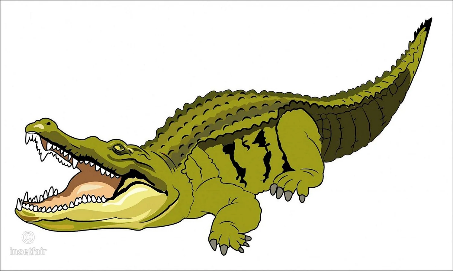 Нильский крокодил мульт