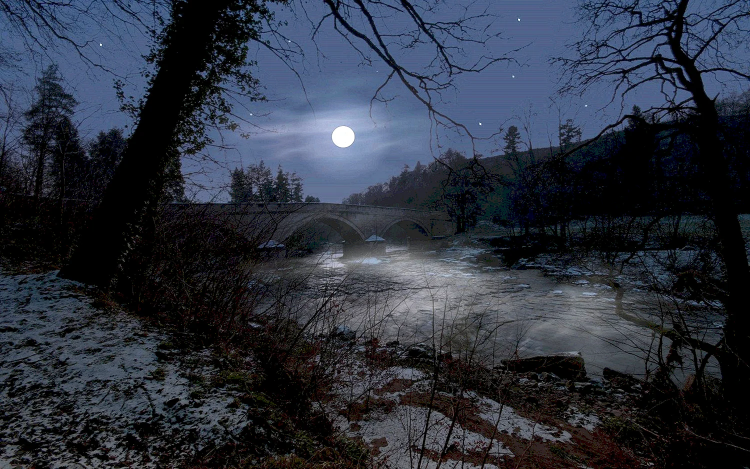 Ночь река лес