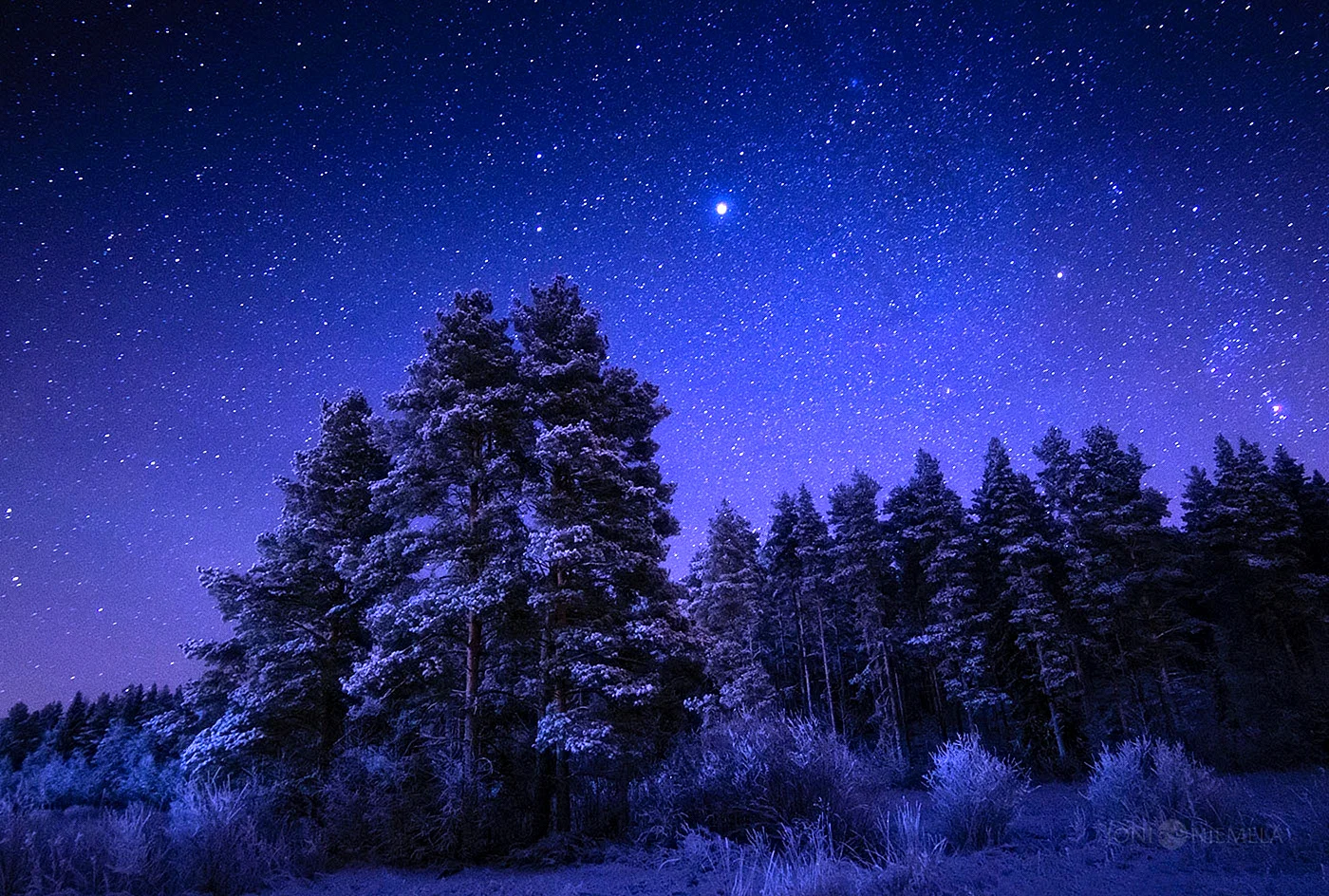 Ночь звезды