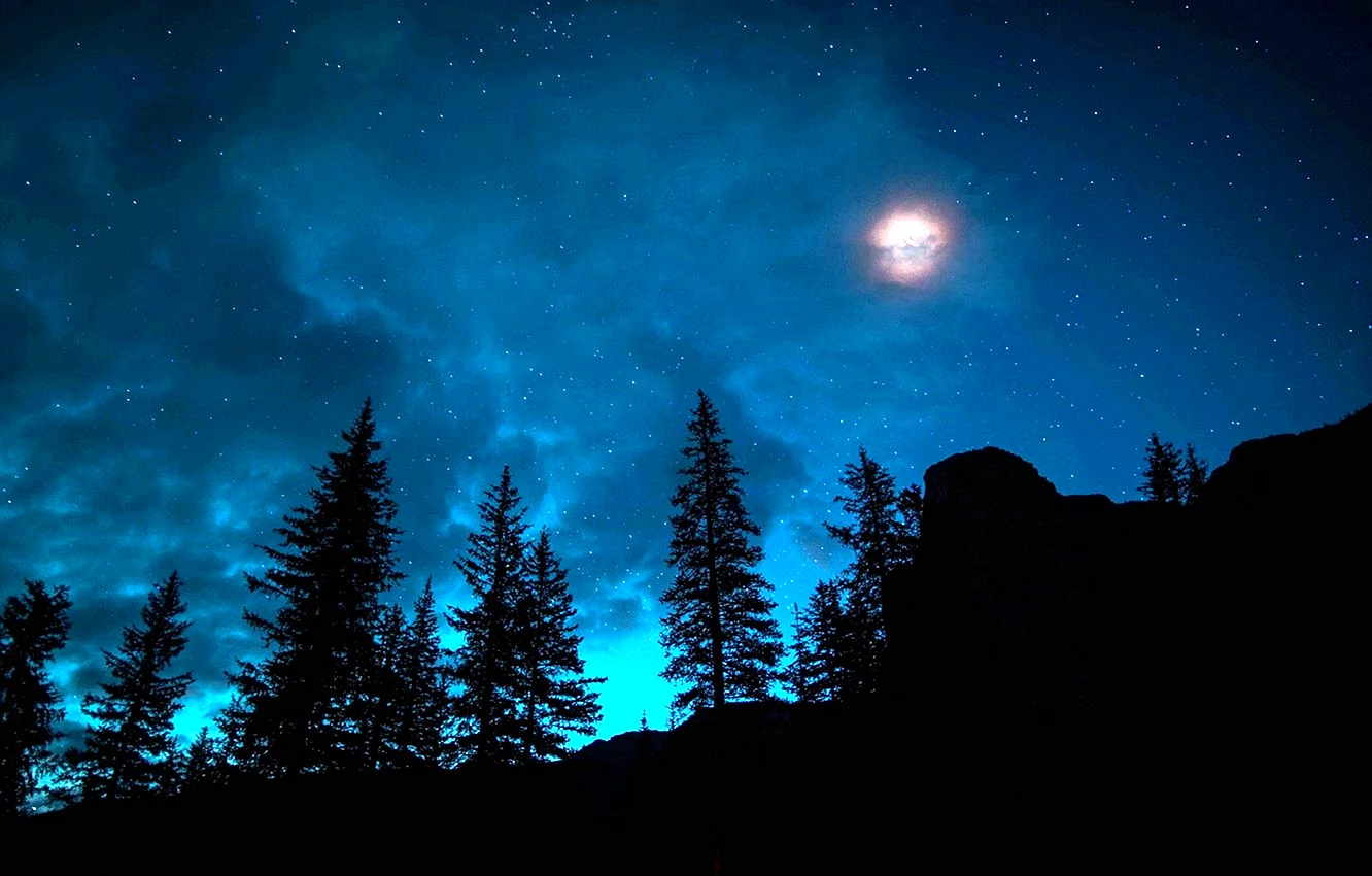 Ночное небо