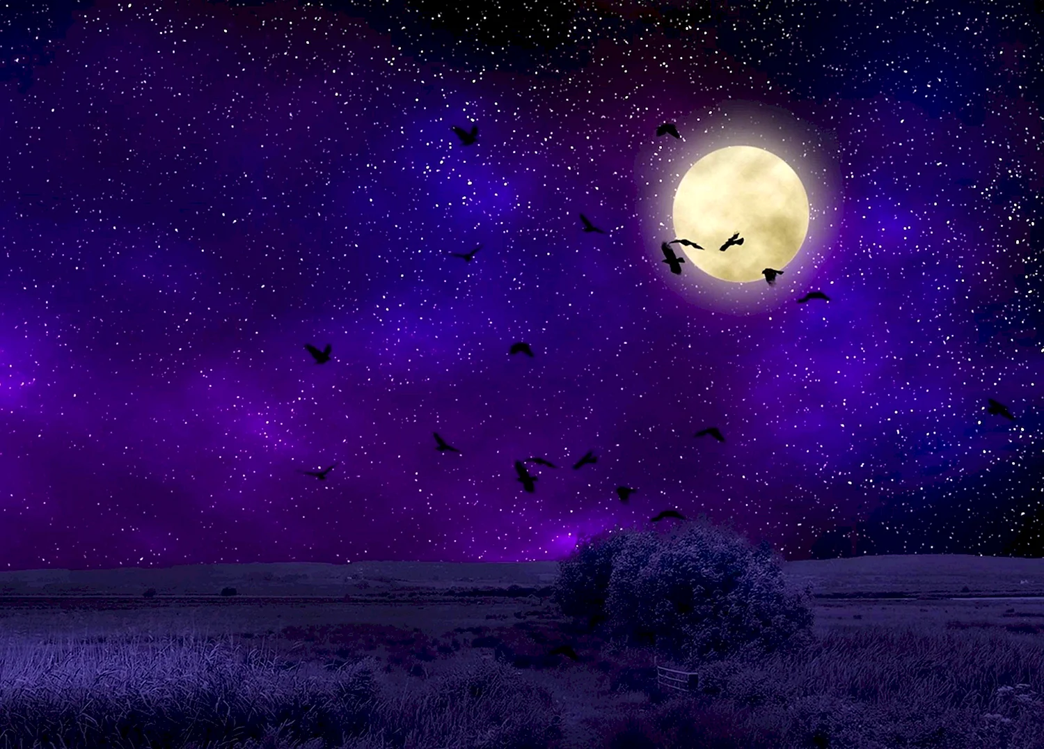 Ночное небо