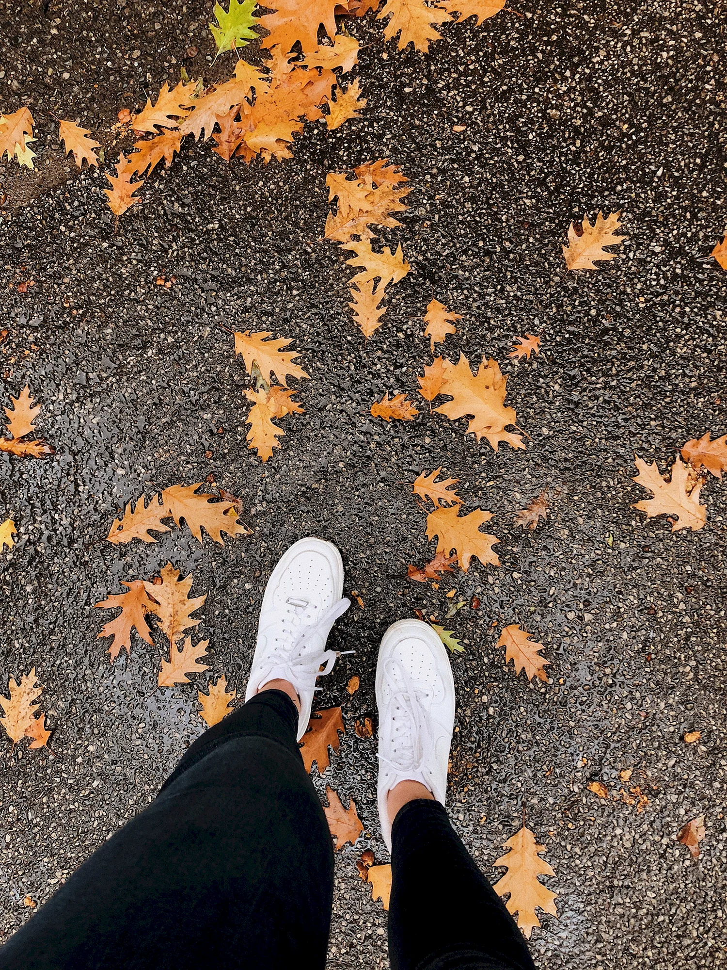 Ноги в листве