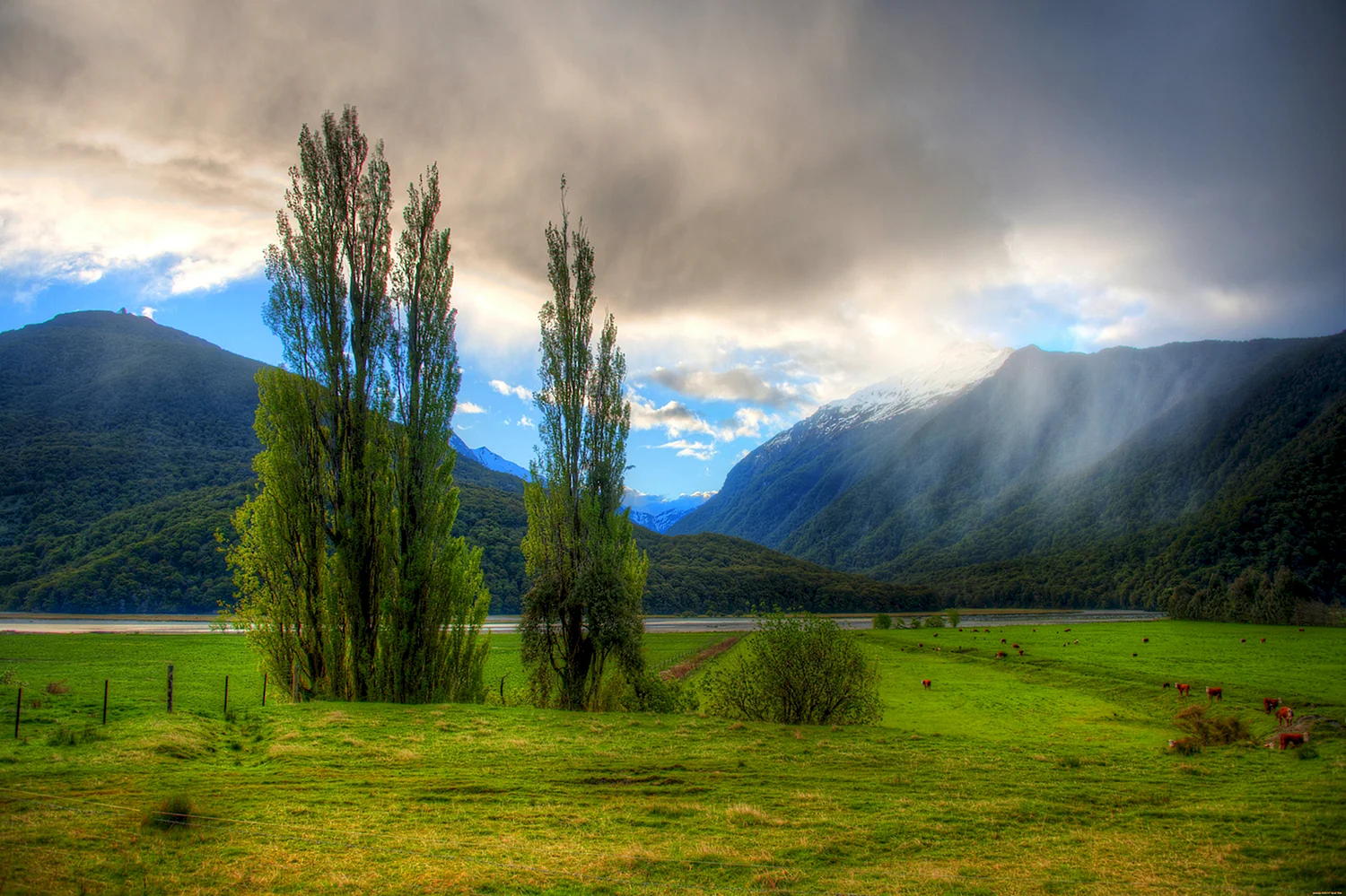 Новая Зеландия природа холмы