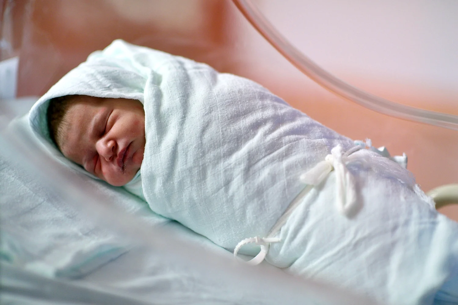 Новорожденный ребеночек в роодоие
