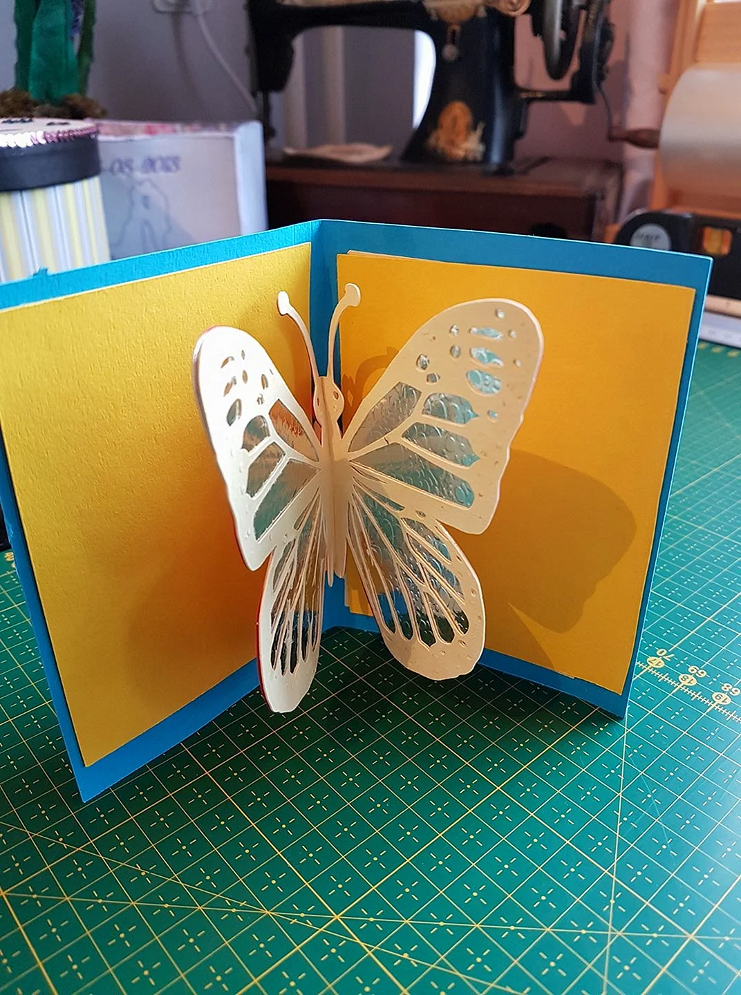 Объемная открытка бабочка