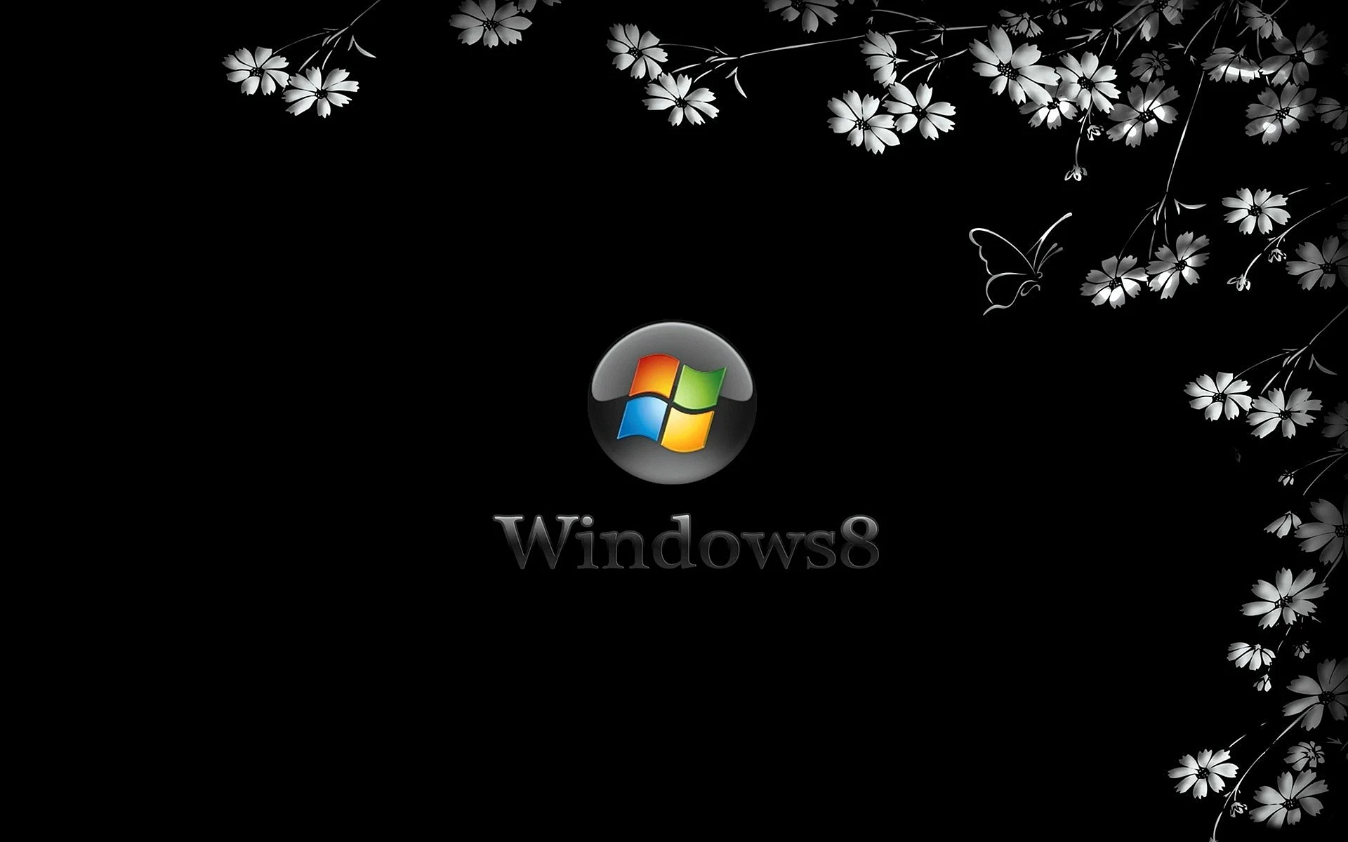 Обои Windows 8 цветок