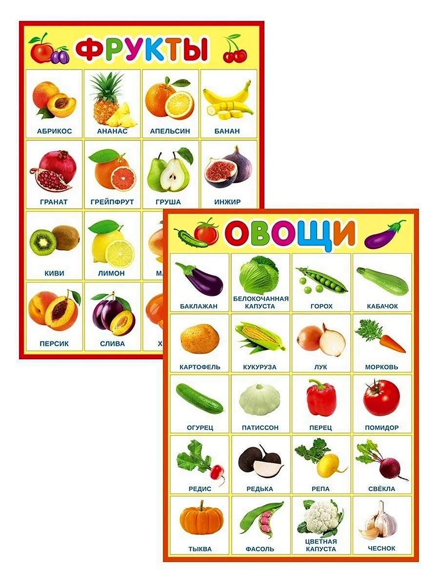 Обучающий плакат фрукты
