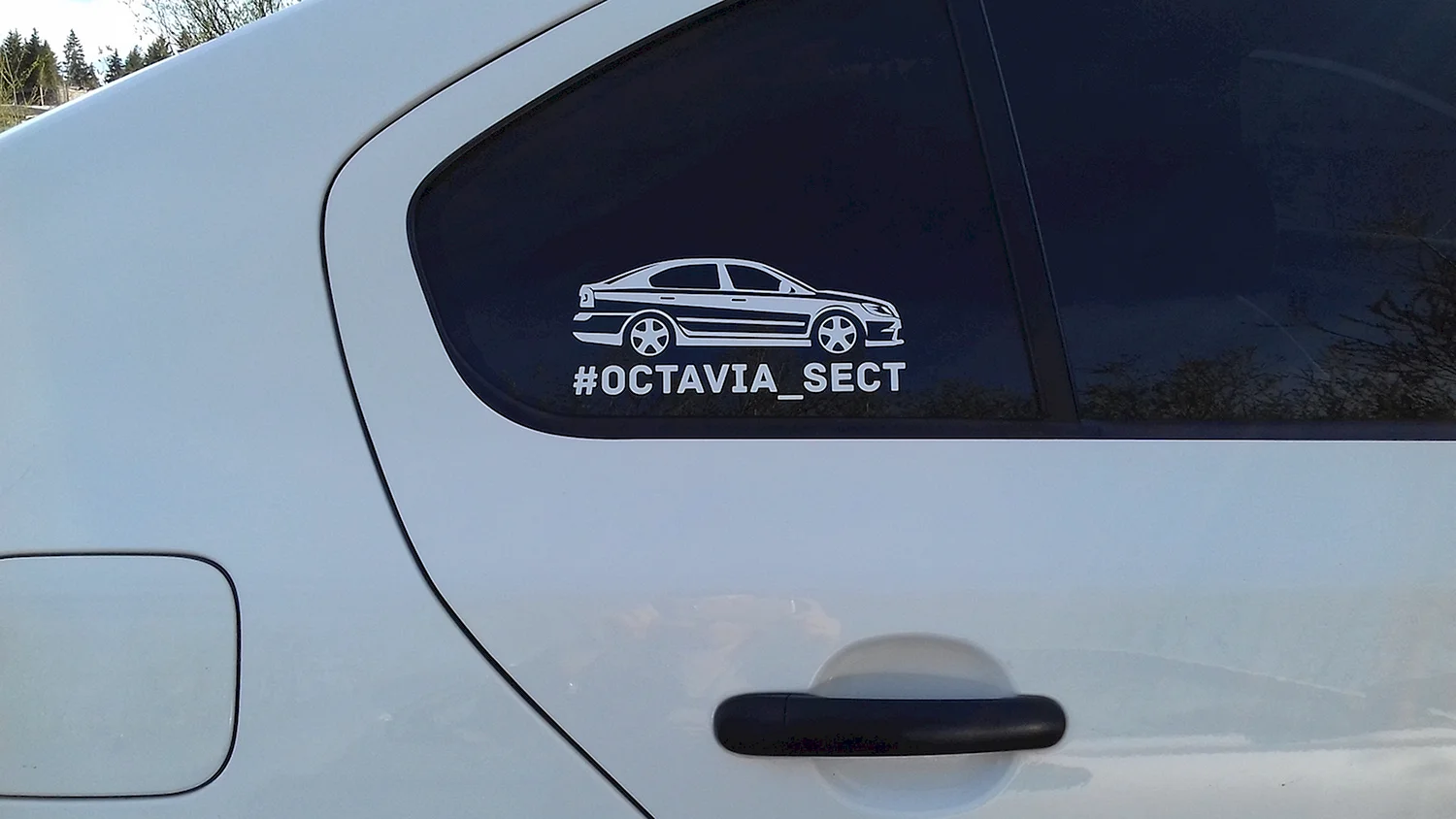 Octavia sect наклейка