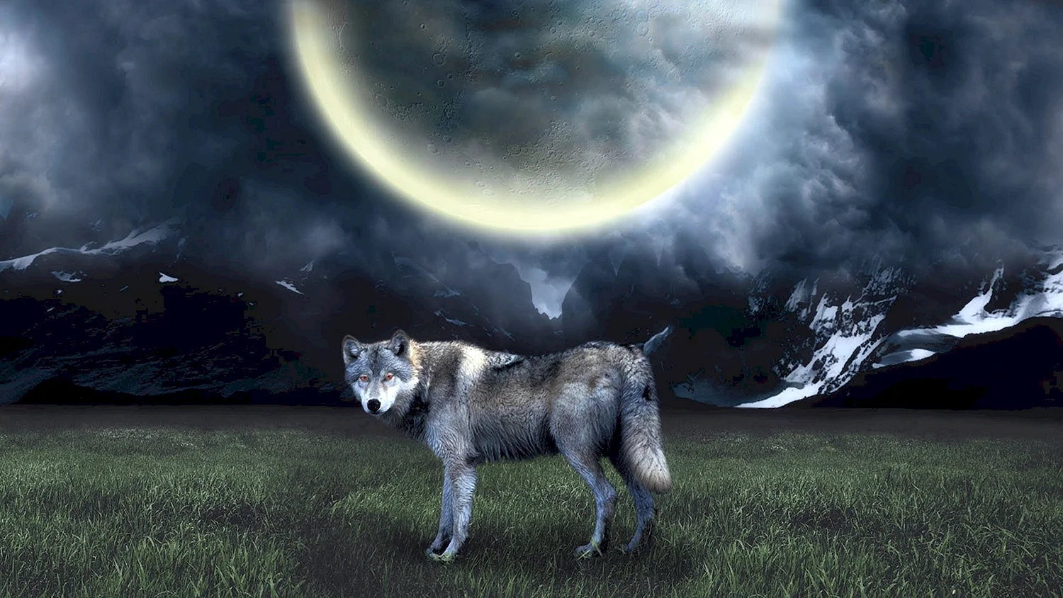 Одинокие волки