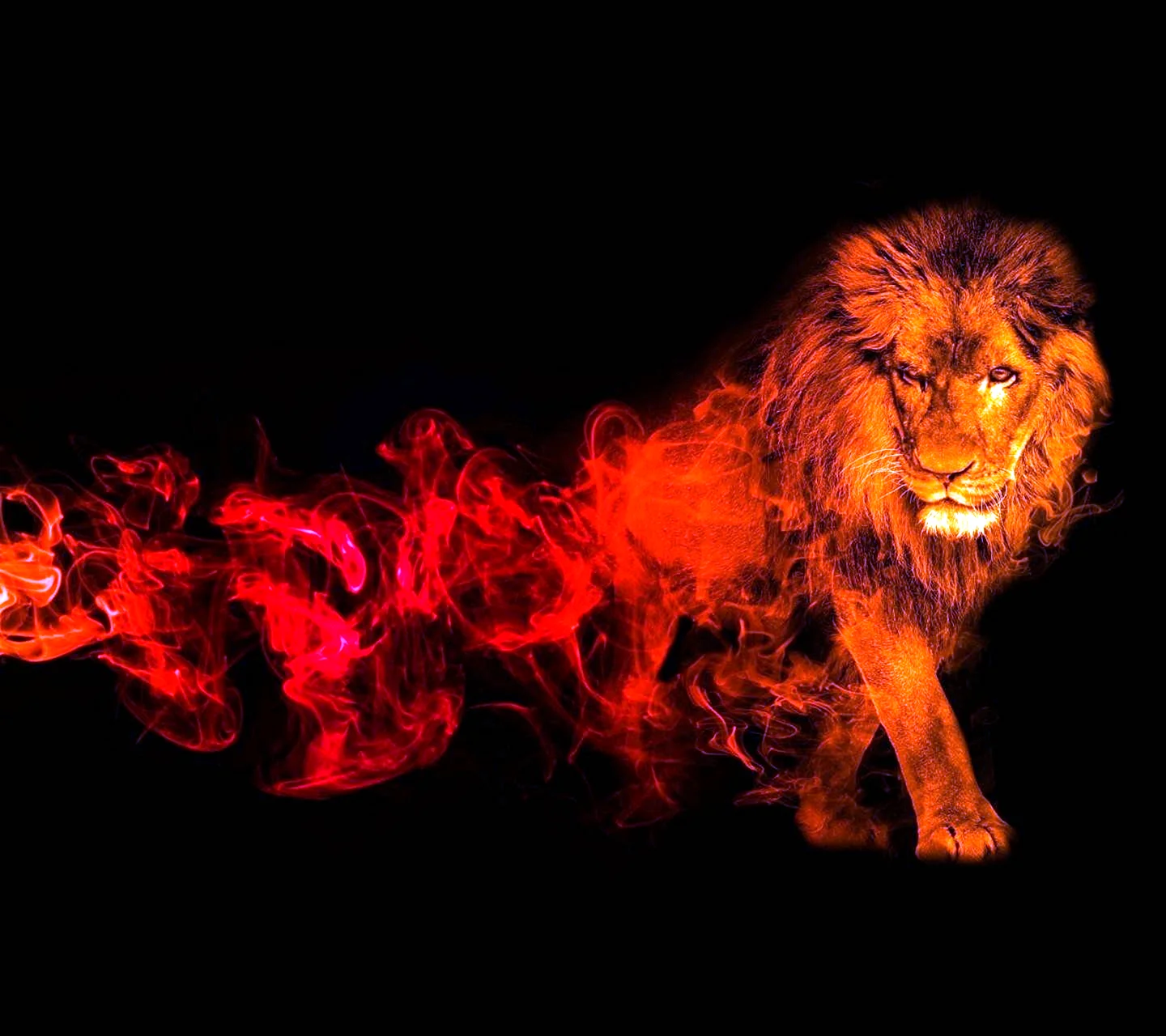 Огненный Лев обои