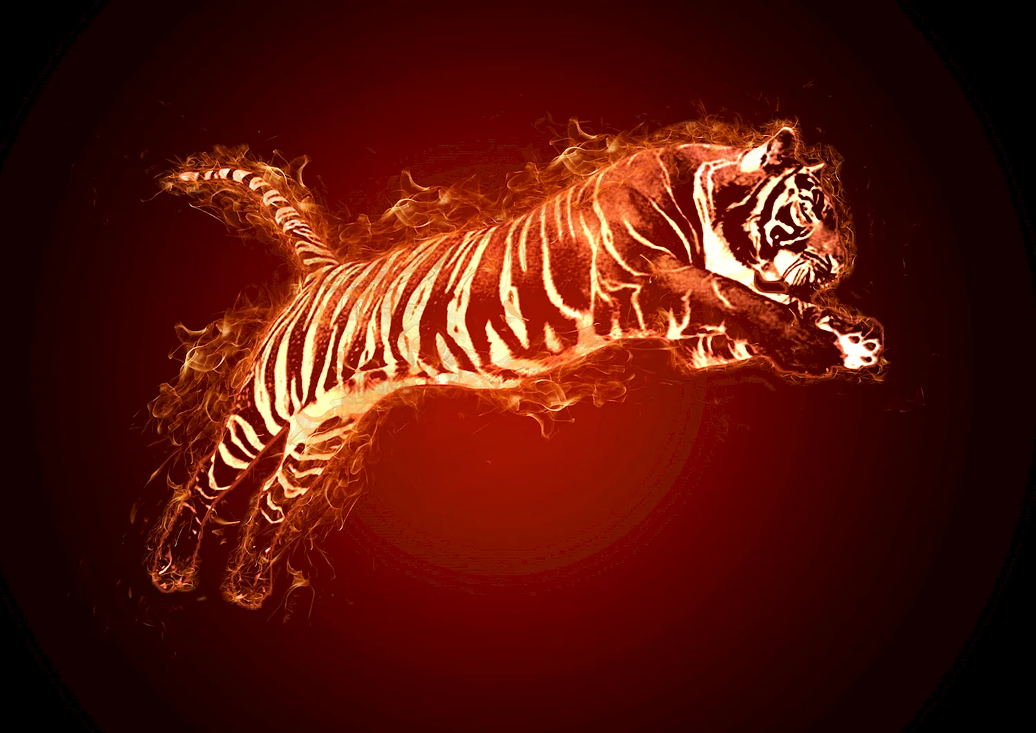 Огненный тигр 1986