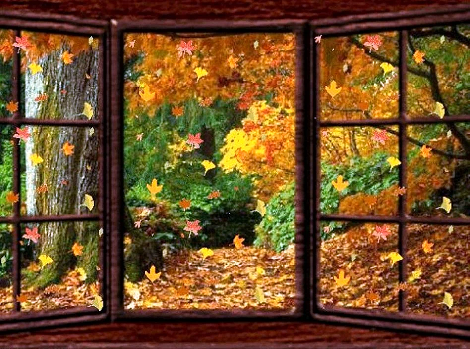 Окно осень