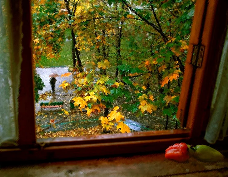 Окно в осенний сад
