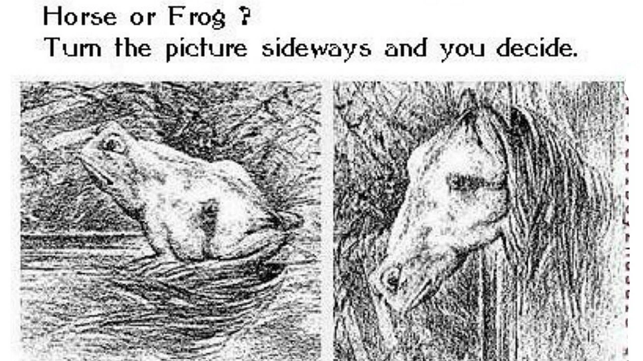 Оптические иллюзии лошадь лягушка