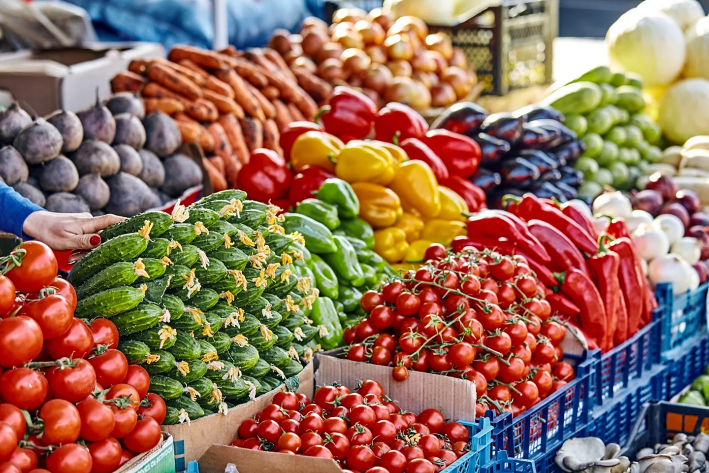 Оптовый овощной рынок в Краснодаре