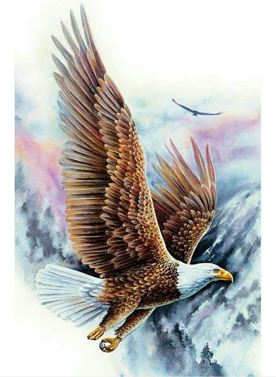 Орел в полете живопись